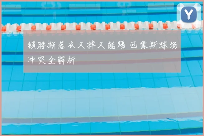 锁脖撕落衣又摔又能踢 西蒙斯球场冲突全解析