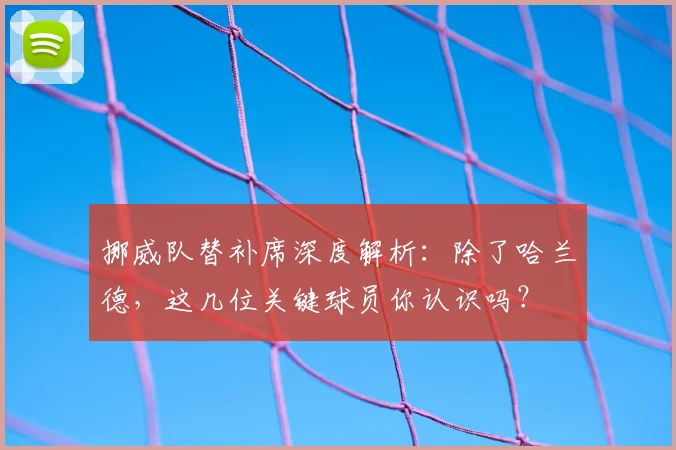 挪威队替补席深度解析:除了哈兰德,这几位关键球员你认识吗?