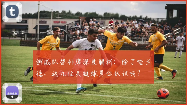 挪威队替补席深度解析:除了哈兰德,这几位关键球员你认识吗?